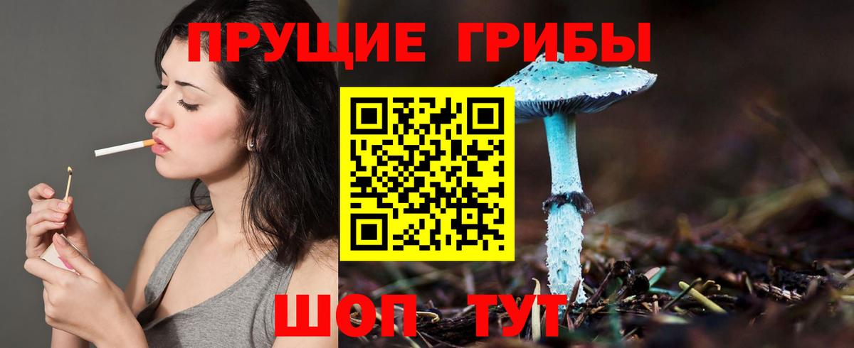 Галлюциногенные грибы мицелий Заречный